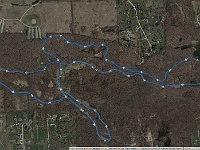 2016-07 Road Runner 8K 67